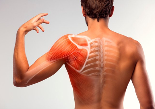 Cirurgia do Ombro (Artroscopia)